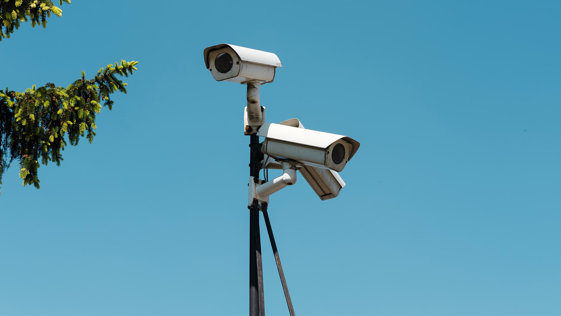 Surveillance cameras that are servile anything that happens.